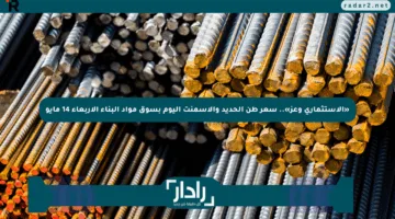 «الاستثماري وعز».. سعر طن الحديد والأسمنت اليوم بسوق مواد البناء الأربعاء 14 مايو